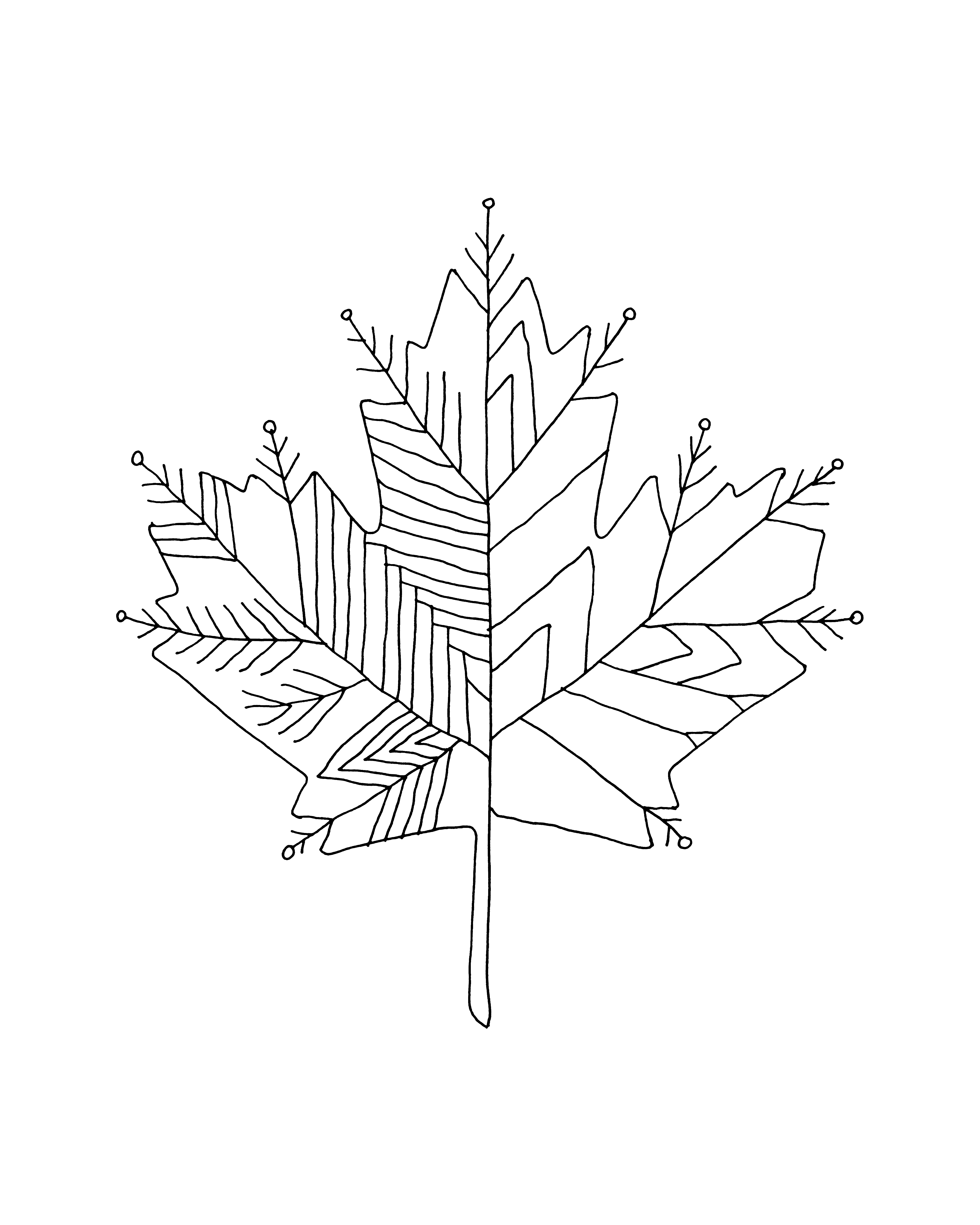 4800x6000 Inner Maple Leaves Colour With Recolor