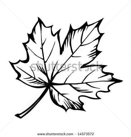 450x470 Fancy Maple Leaf Outline Clipart