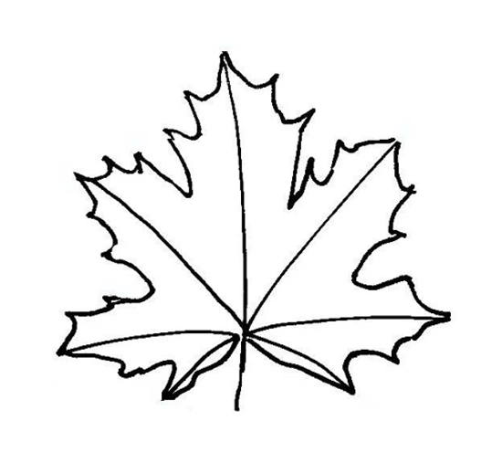 550x495 Leaf Templates For Kid's Crafts