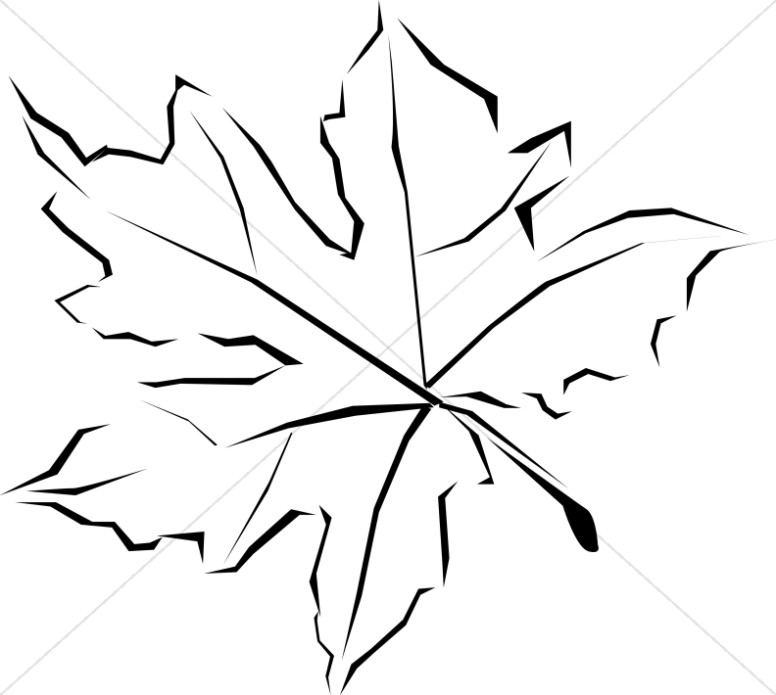 776x695 Line Art Fall Leaf Leaf Clipart
