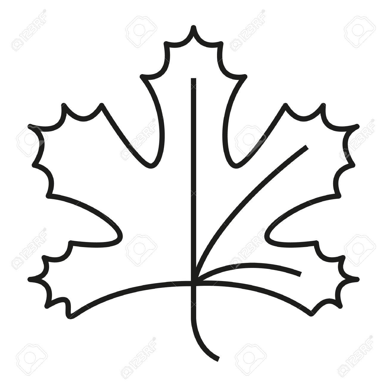 1300x1300 Simple Thin Line Maple Leaf Icon Vector Royalty Free Cliparts