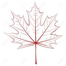 225x225 Image Result For Maple Leaf Drawing Maple Leaves
