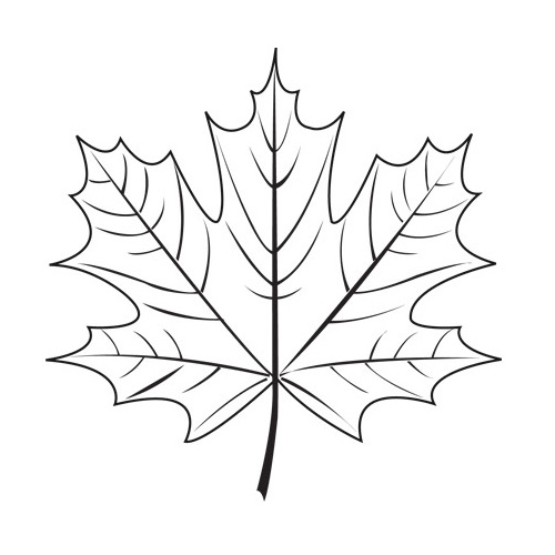 500x500 Maple Leaf Stencil