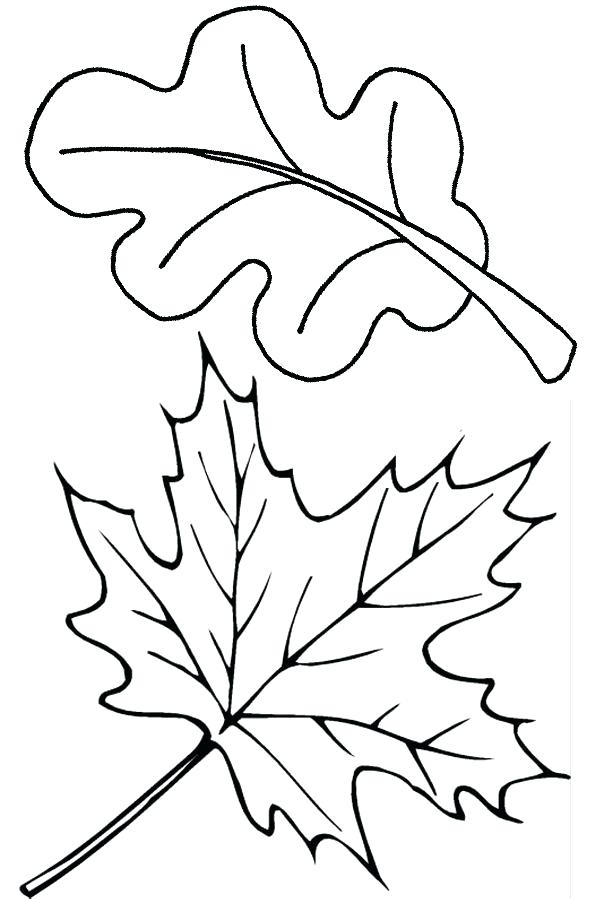 600x900 Thanksgiving Leaf Coloring Pages Best Fall Leaves Drawing Ideas