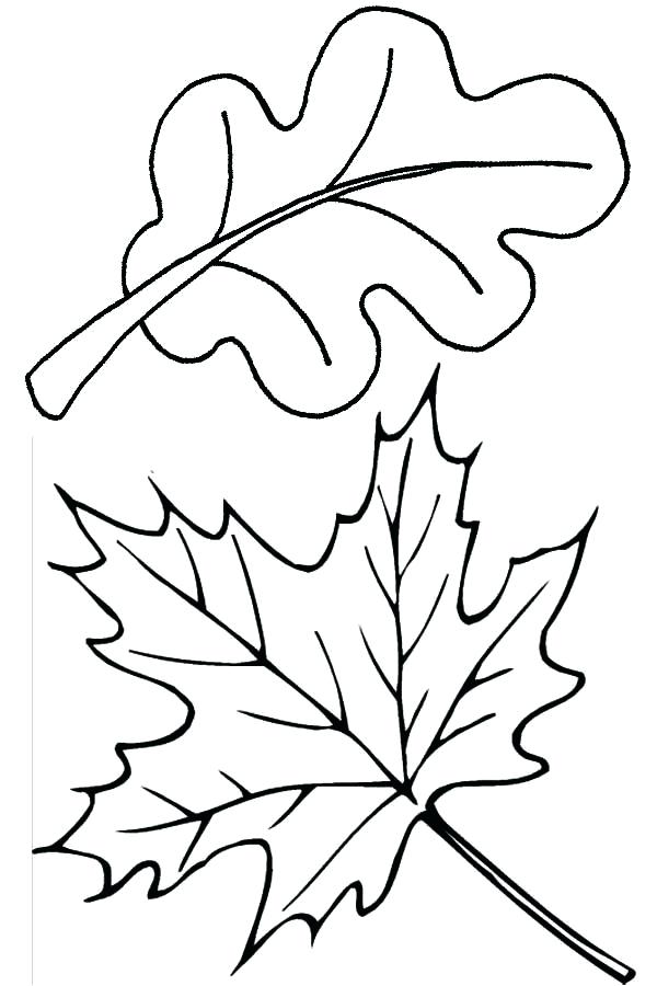 600x900 Coloring Pages Of Fall Leaves Drawing Of Fall Leaf Coloring Page