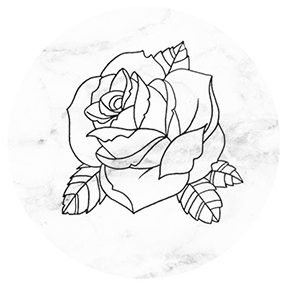 288x288 Rose