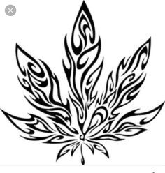 236x248 Shop Wax, Herbs And Juice