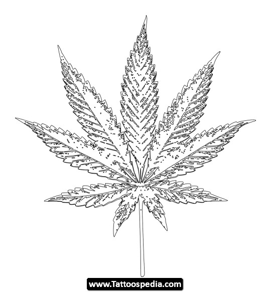 540x582 Cannabis Tattoos