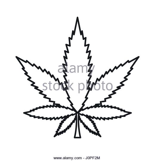 520x540 Drawn Cannabis Leaf Icon