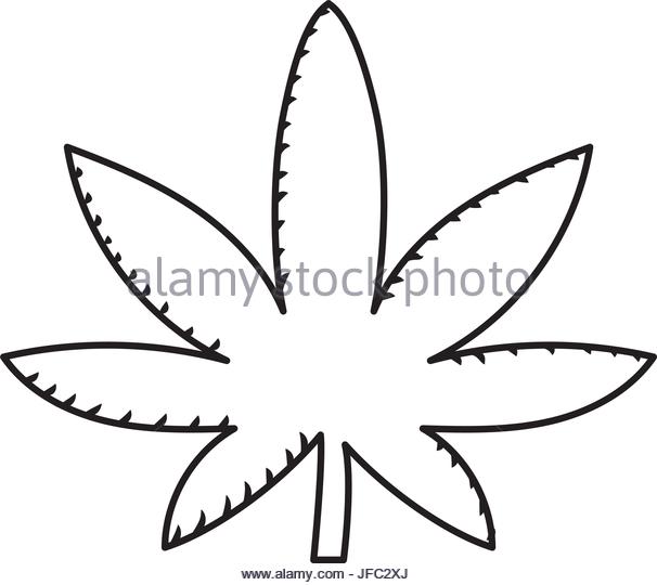 606x540 Medical Marijuana Stock Vector Images