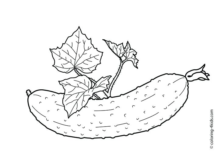 736x525 Printable Leaves Coloring Pages Sheet Leaves Marijuana Coloring