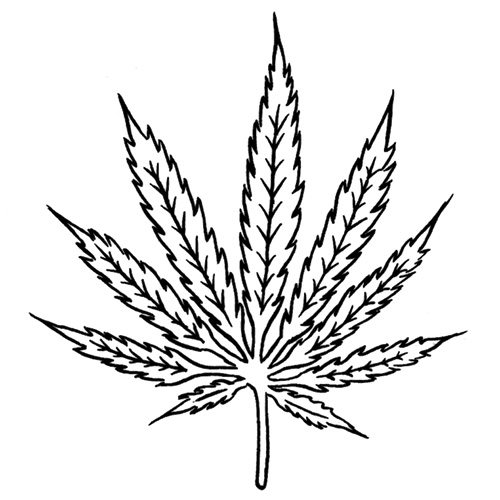 Marijuana Leaf Drawing Step By Step at GetDrawings | Free download