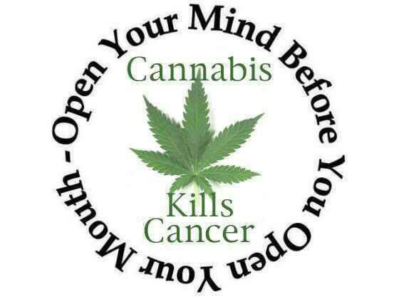 560x420 Medical Cannabis
