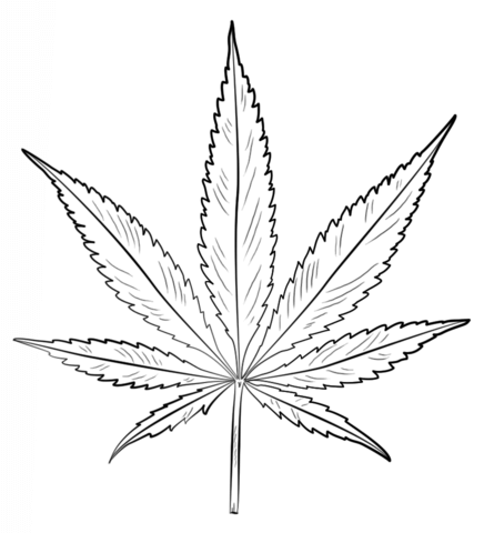 436x480 Pot Leaf Coloring Page Free Printable Coloring Pages