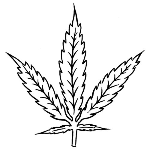 Marijuana Plant Drawing at GetDrawings | Free download