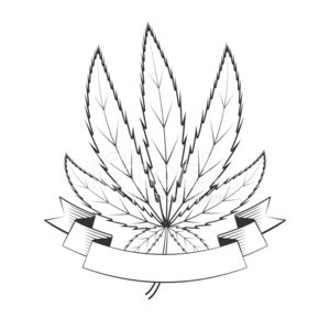 300x300 Cannabis Green Leaf Stock Vectors