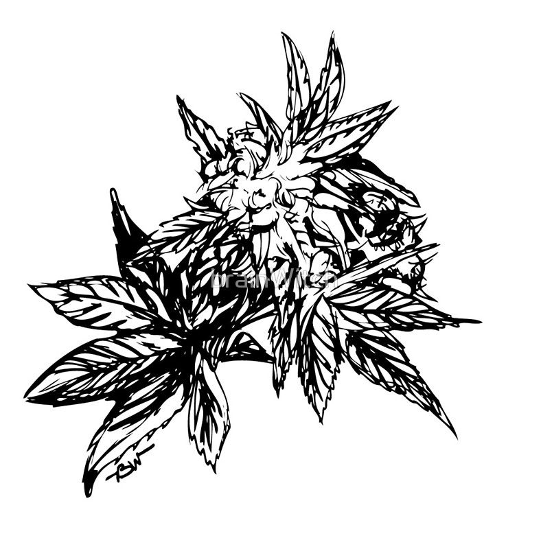 788x800 Cannabis Ink Sticker. Check Out That Beautiful Bud. Cool Black