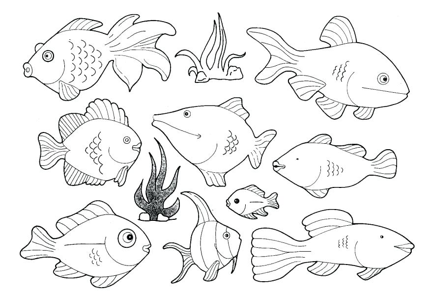 875x595 Ocean Life Coloring Pages Preschool Animals Kids Sea Realistic