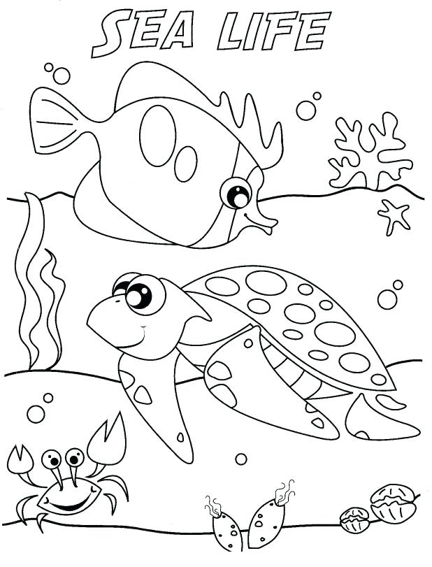 618x811 Awesome Extraordinary Printable Ocean Pictures New Life Coloring