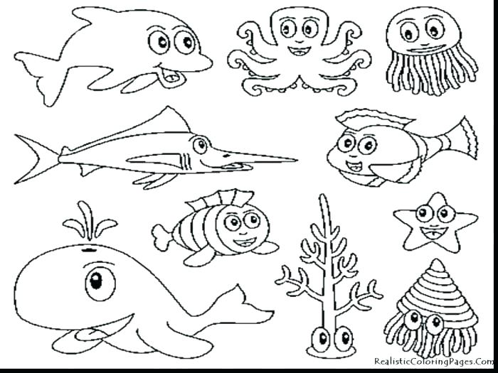 700x525 Marine Coloring Page