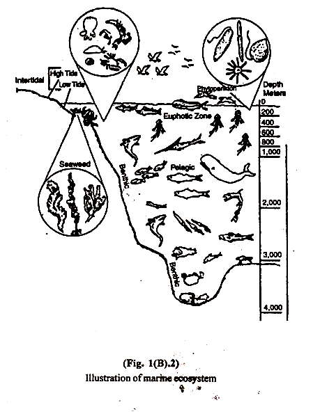 449x595 Fresh Water Resources In India