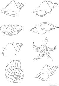 200x290 101 Best Marine Life Coloring Pages Images On Coloring
