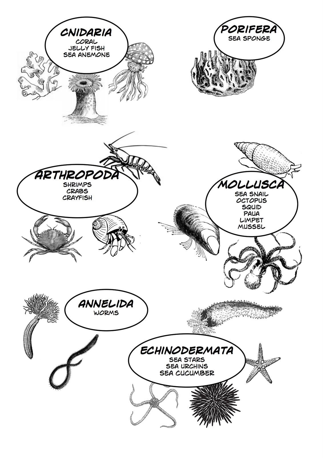 1131x1600 Science@ehs August 2010