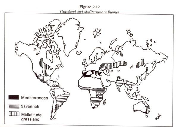 596x430 Six Major Ecosystems Of The World (With Diagram)