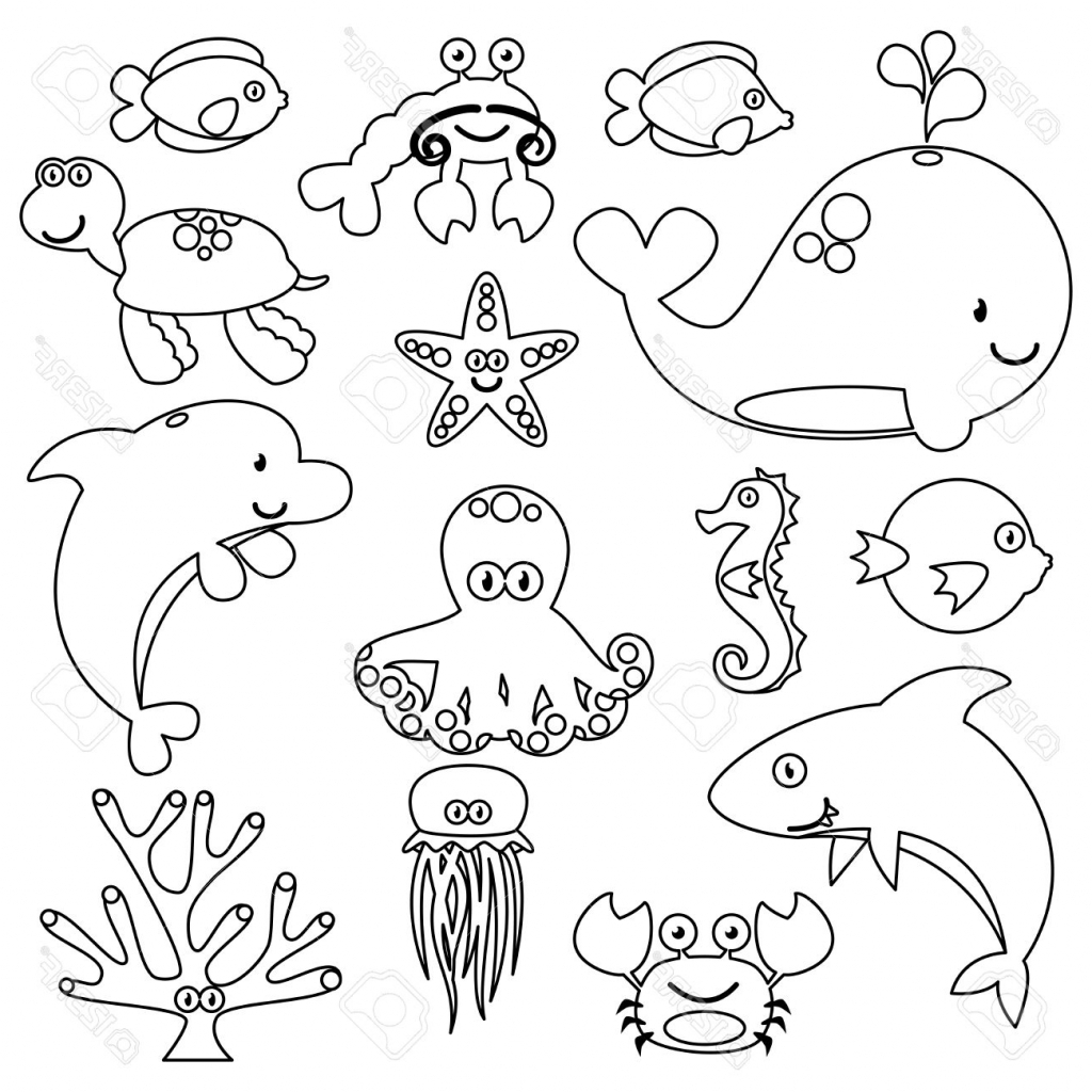 1024x1024 Marine Animals Easy Drawings Sea Animals Drawing Drawing Of Sea