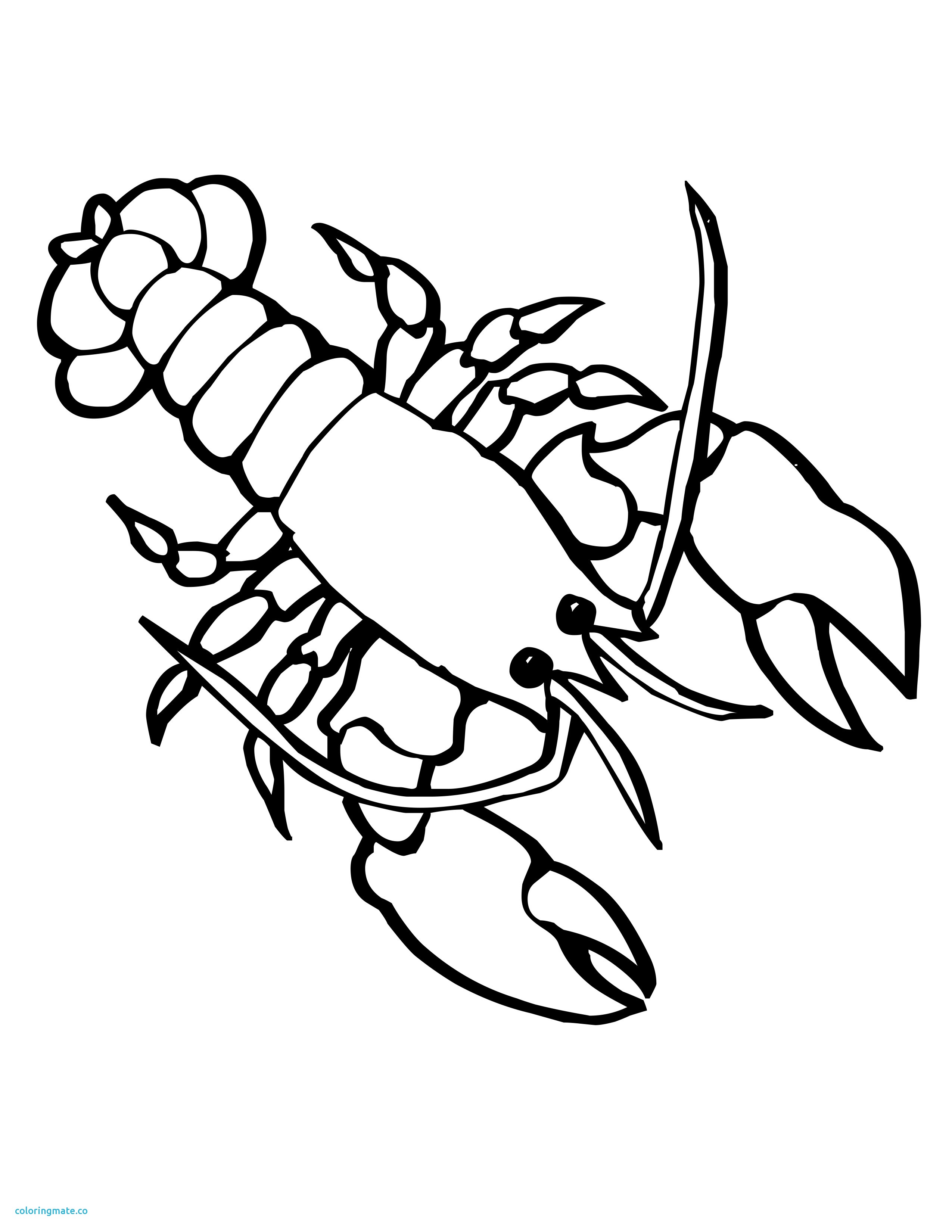 2550x3300 38 Sea Creature Coloring Pages
