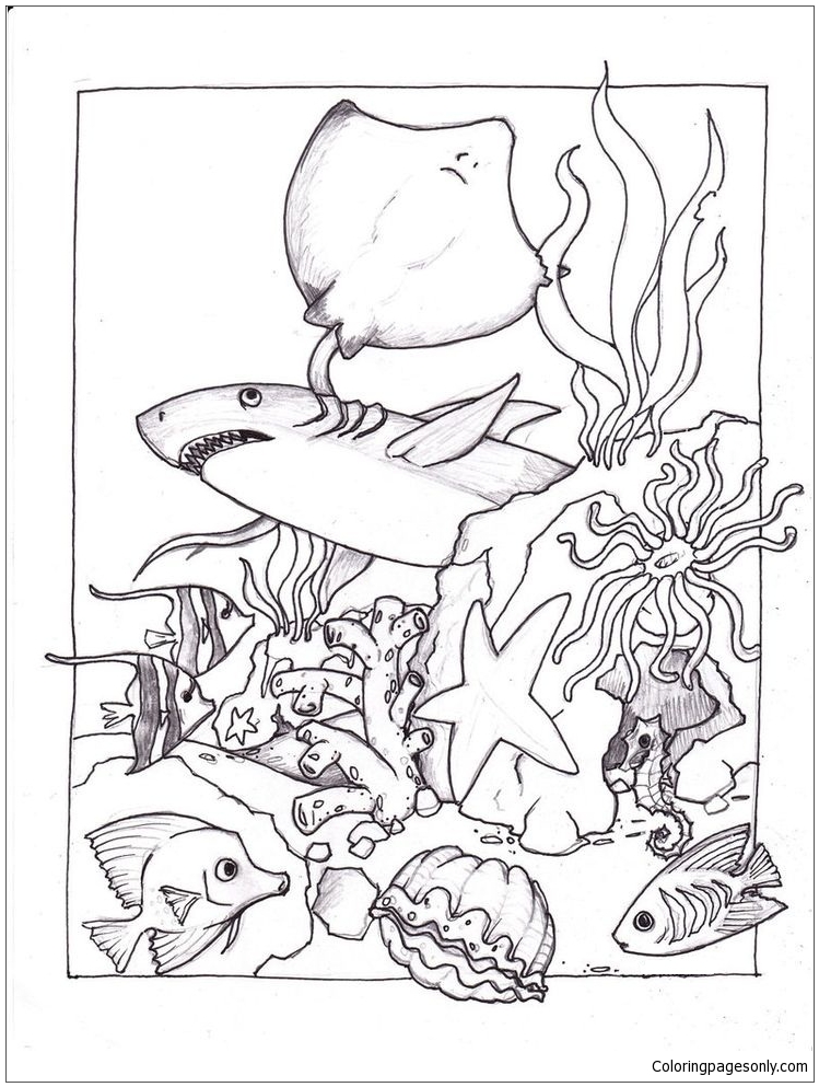 749x993 Marine Life Under The Ocean Floor 1 Coloring Page