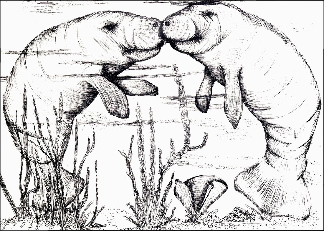 1100x785 Bampw Dawings Marinelife