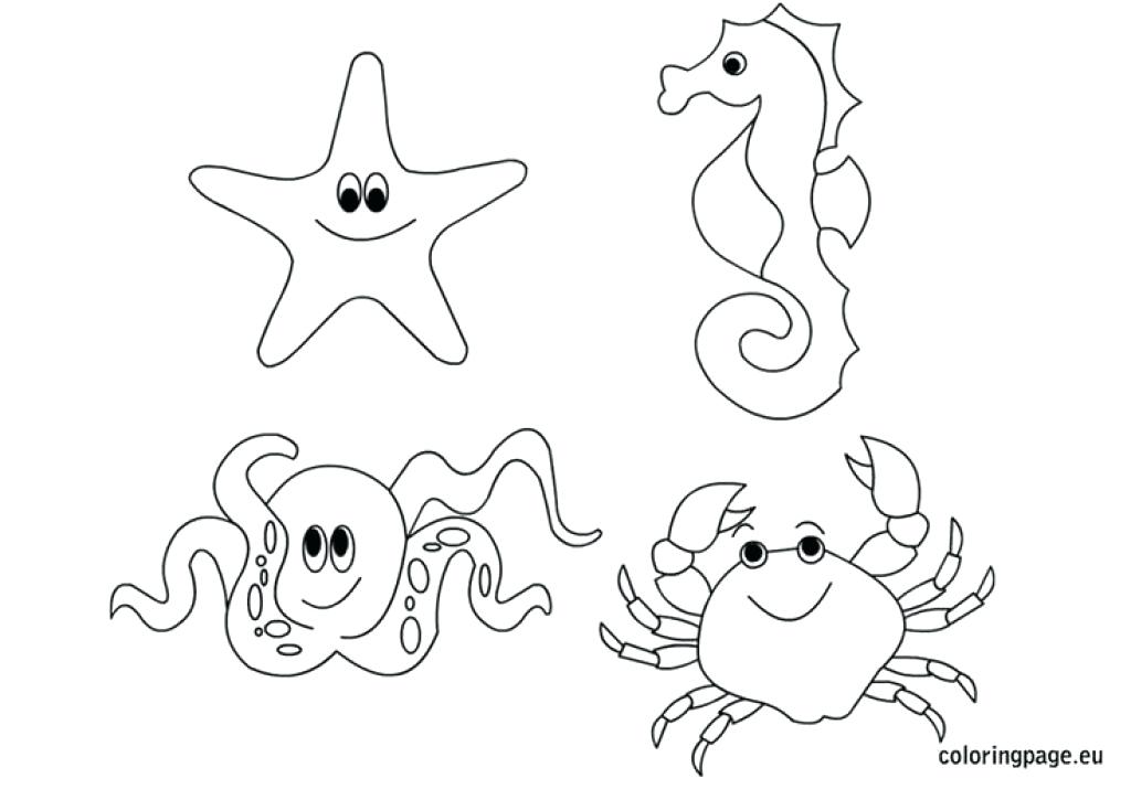 1024x715 Fun Free Sea Creature Coloring Pages Marine Life Ocean Printable