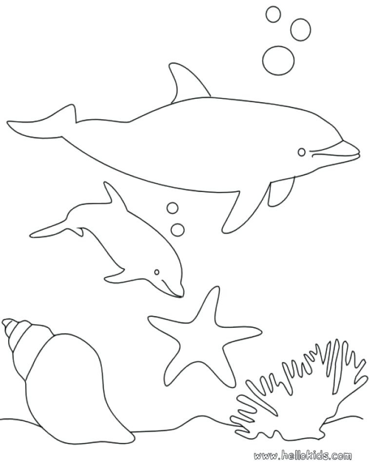 757x960 It S Here Miami Dolphins Coloring Pages Learn How To Draw Logo Nfl