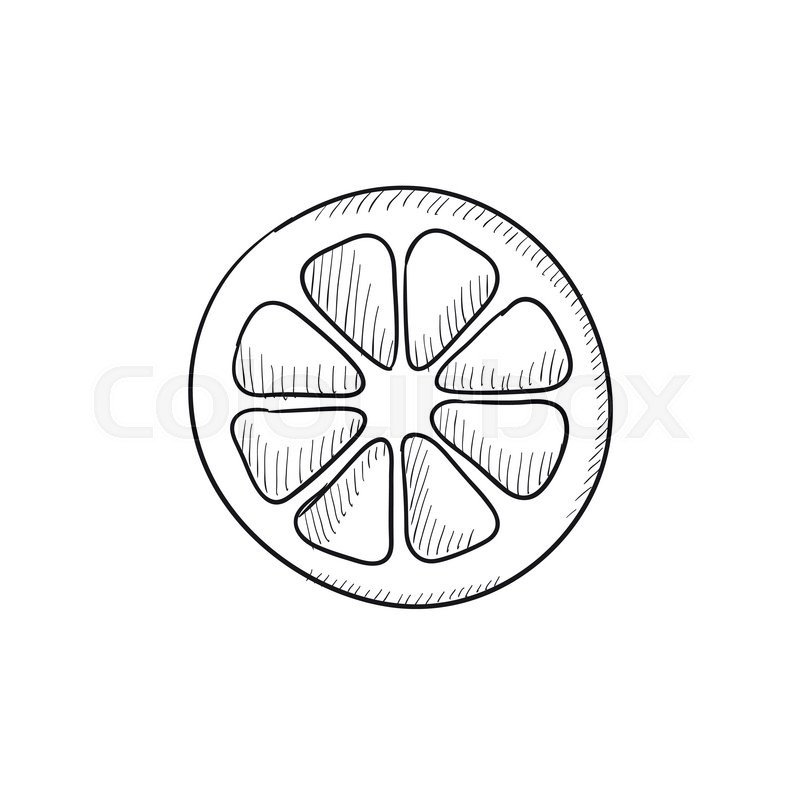 800x800 Slice Of Lemon Vector Sketch Icon Isolated On Background. Hand