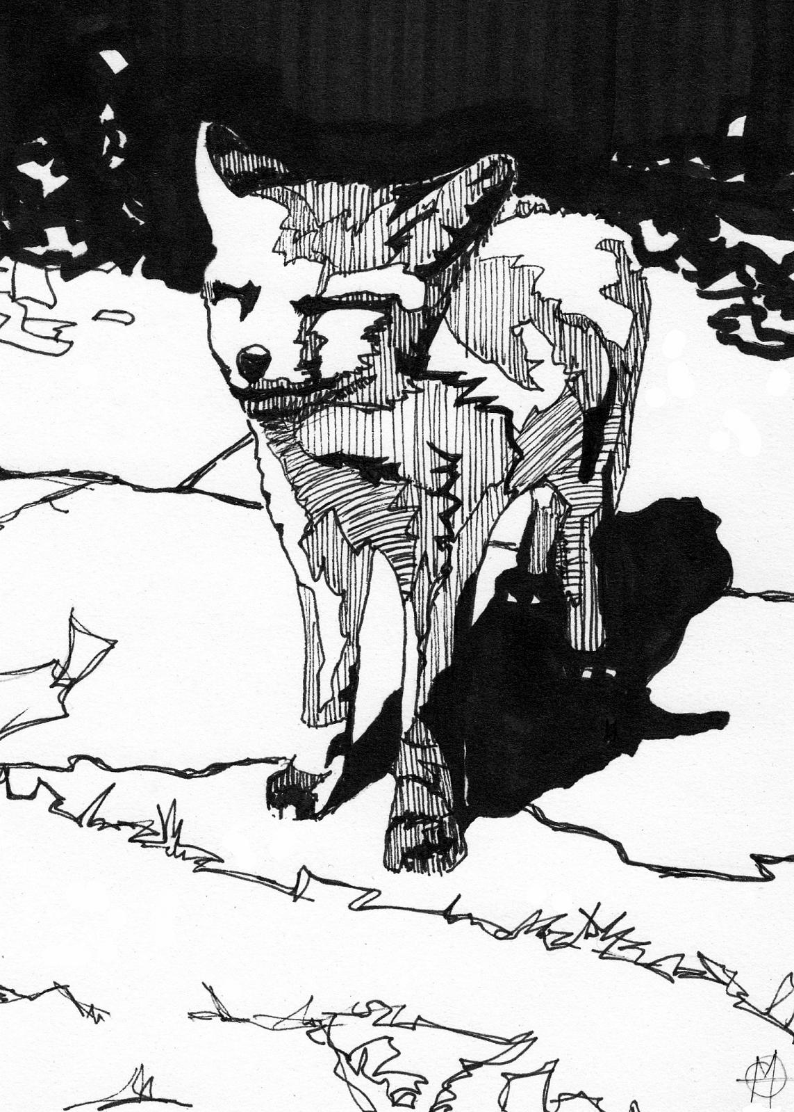 1143x1599 Sharpie Mars Will Send No More