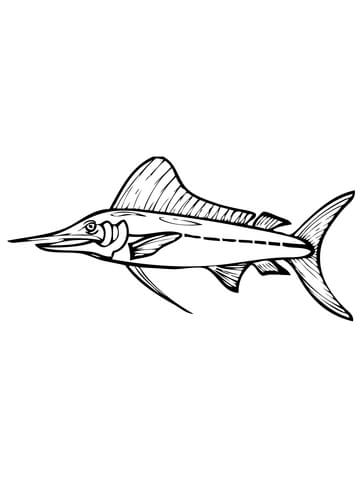 360x480 Marlin Fish Coloring Page Free Printable Coloring Pages