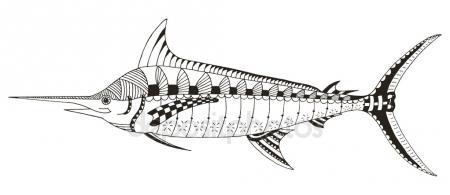 Marlin Drawing at GetDrawings | Free download