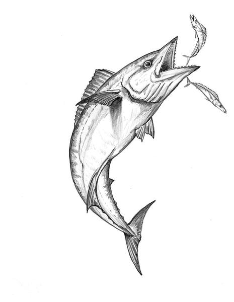 465x600 Smokers Mark Ray Studio