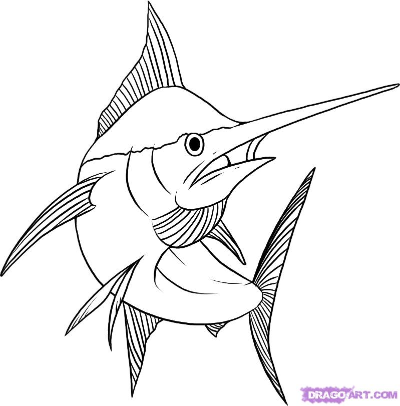 799x811 How To Draw A Marlin Step 7 Art Art Drawings