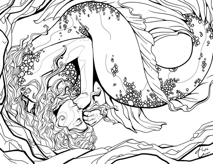 736x568 548 Best Mermaids Images On Mermaids, The Little