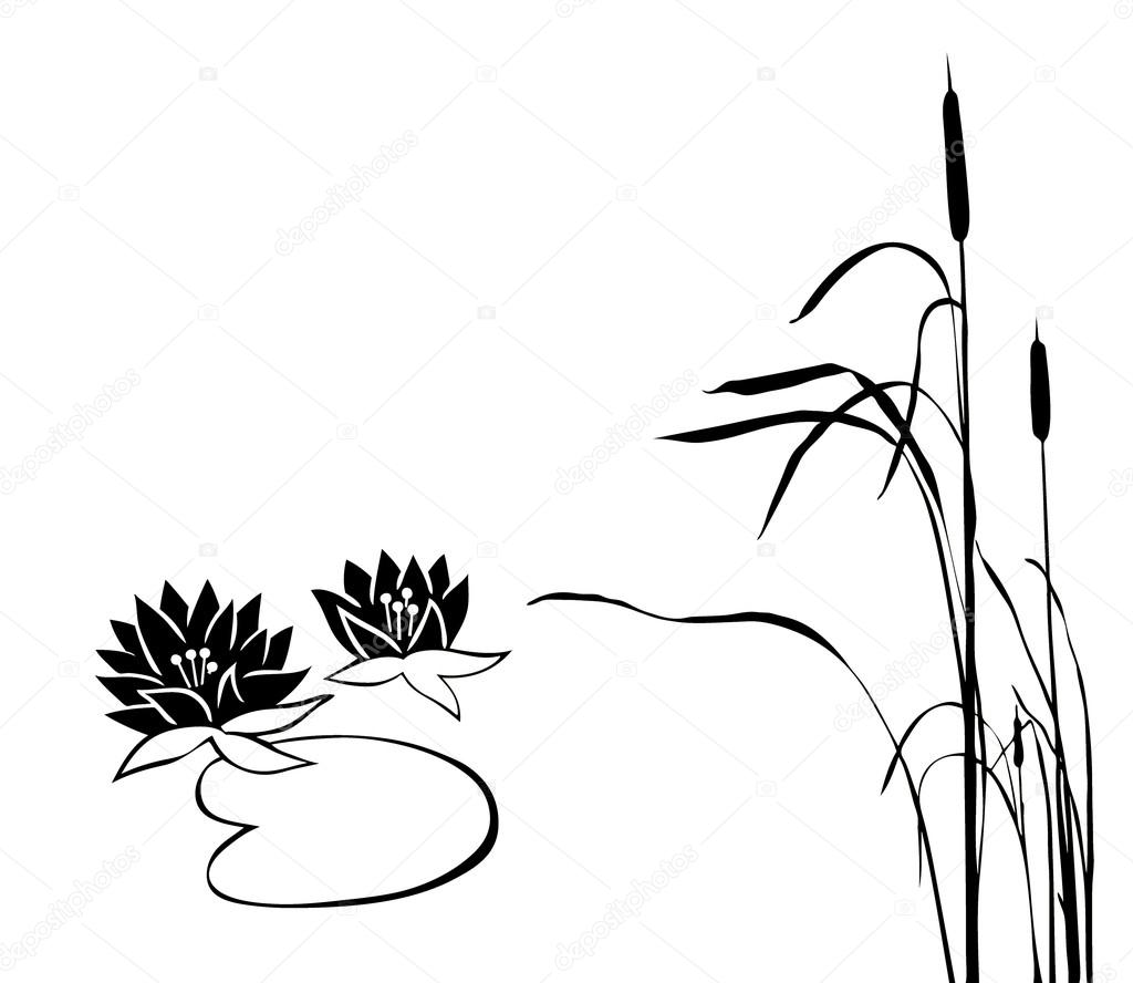 1024x888 Marsh Plants Stock Vector Basel101658