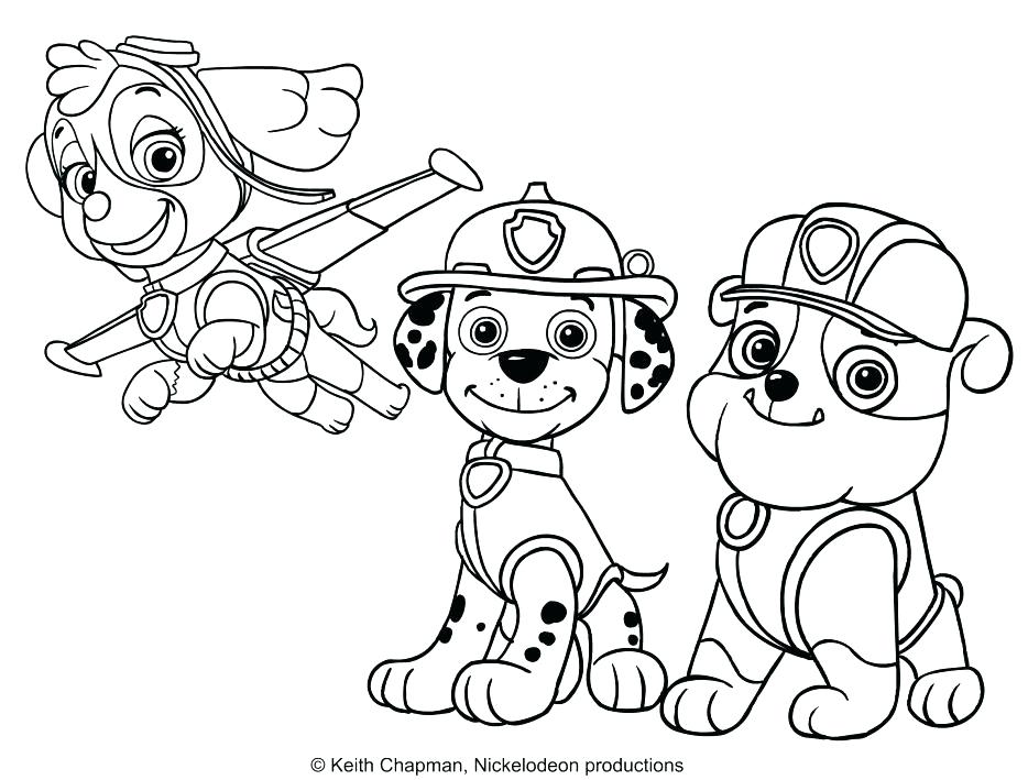 Marshall Paw Patrol Drawing at GetDrawings | Free download