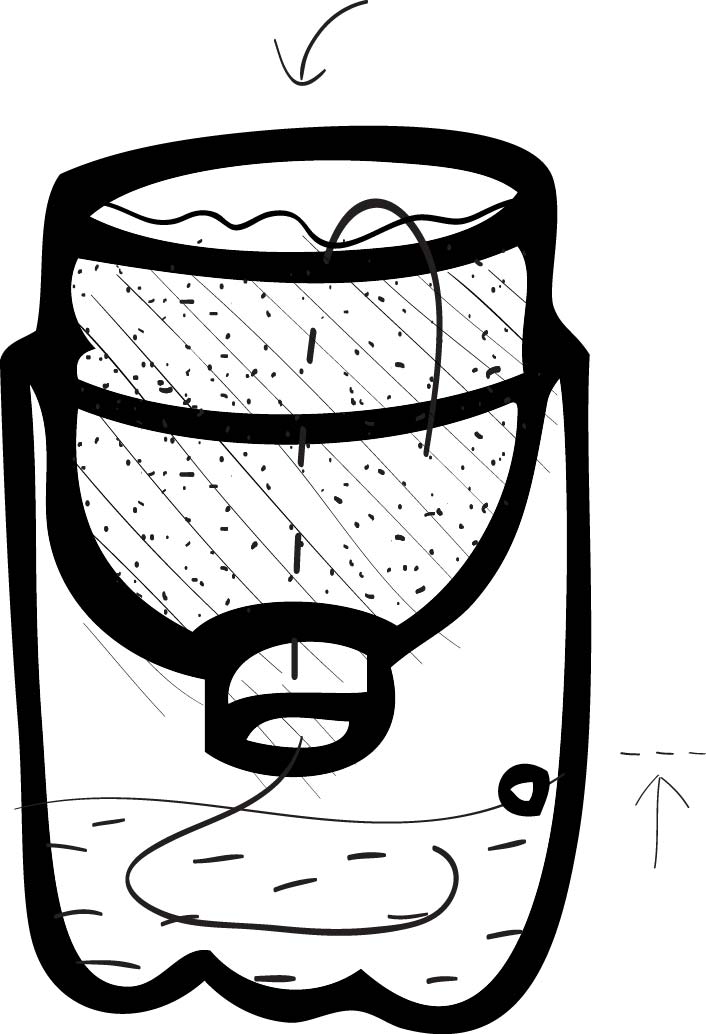 706x1034 How To Garden In A Bottle