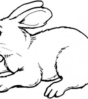 357x400 Mason Jar Coloring Page 5601