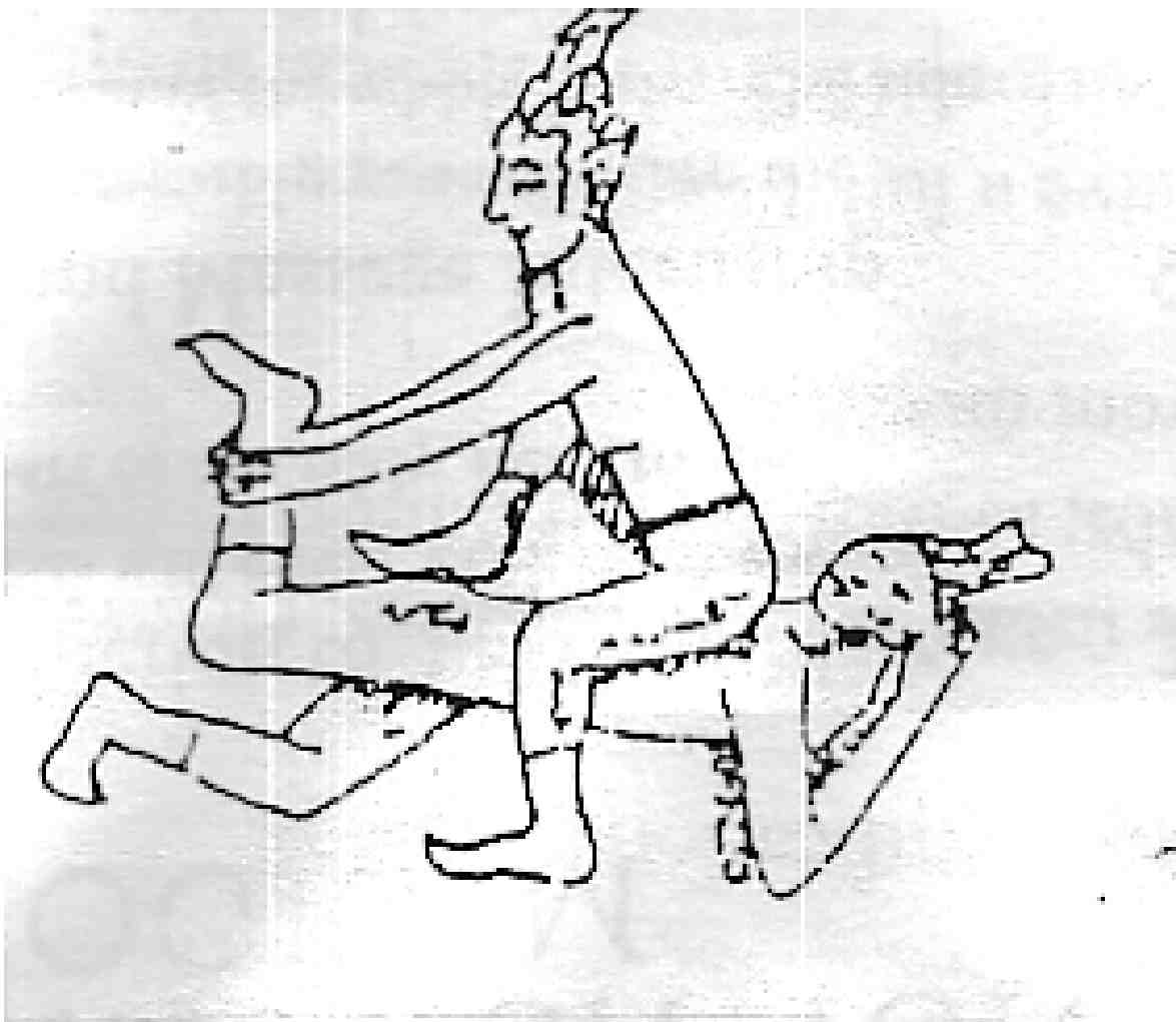 1175x1021 Thaimassagedrawing.jpg