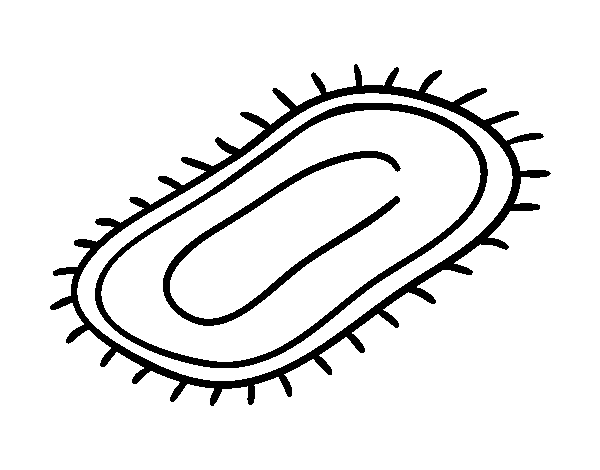 600x470 Bath Mat Coloring Page