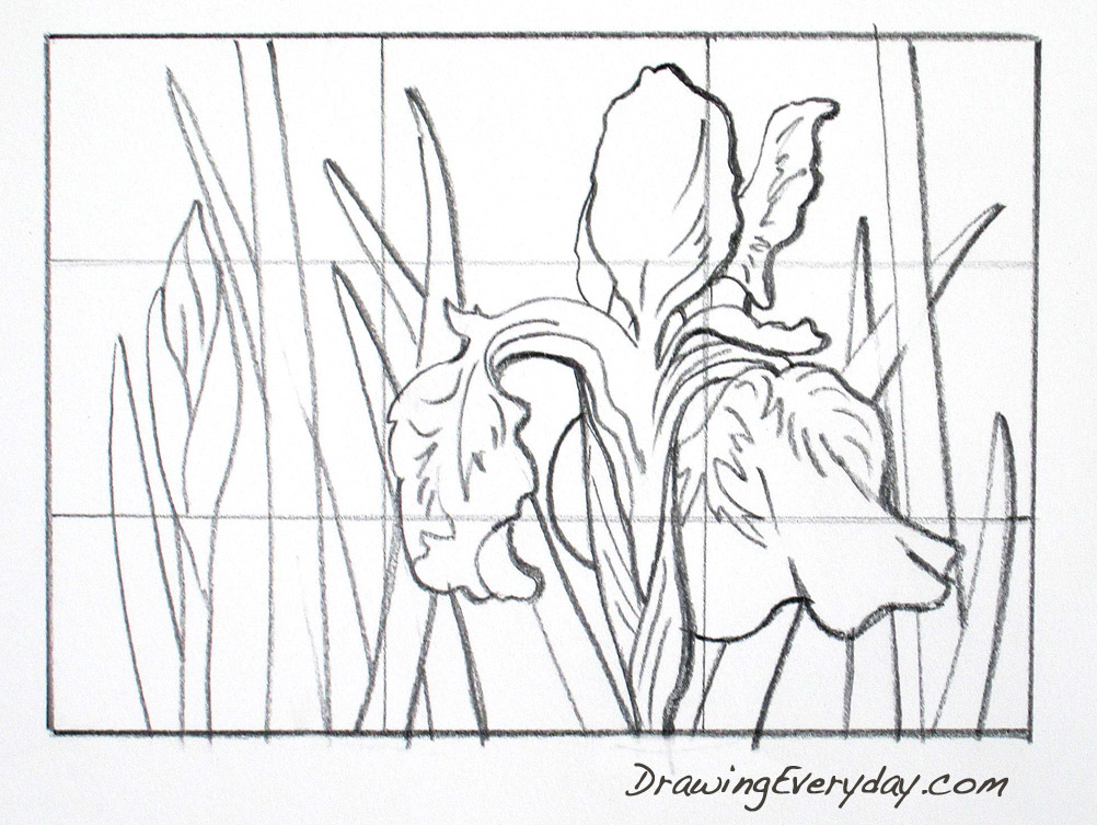 1002x753 Drawing Everyday Enthusiasm And Habit