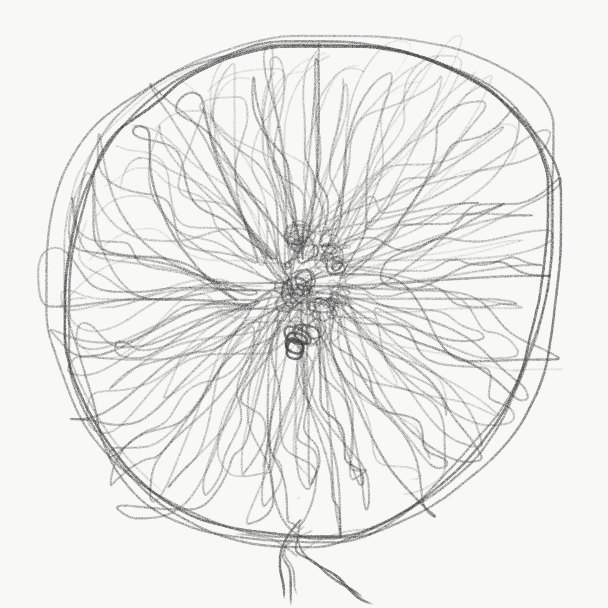 2048x2048 Drawing 3a, Week One Slacey193772utas
