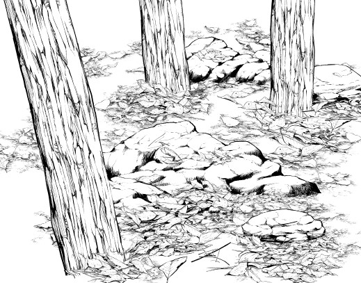 519x407 People Who Sick Of Drawing Natural Object Must See! Draw Forest